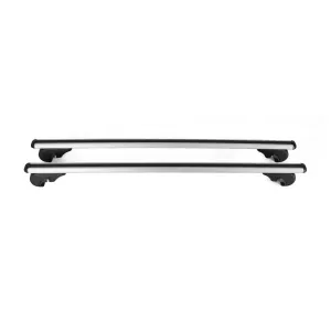 2000-2006 BMW X5 E53 Roof Rack Cross Bars Silver
