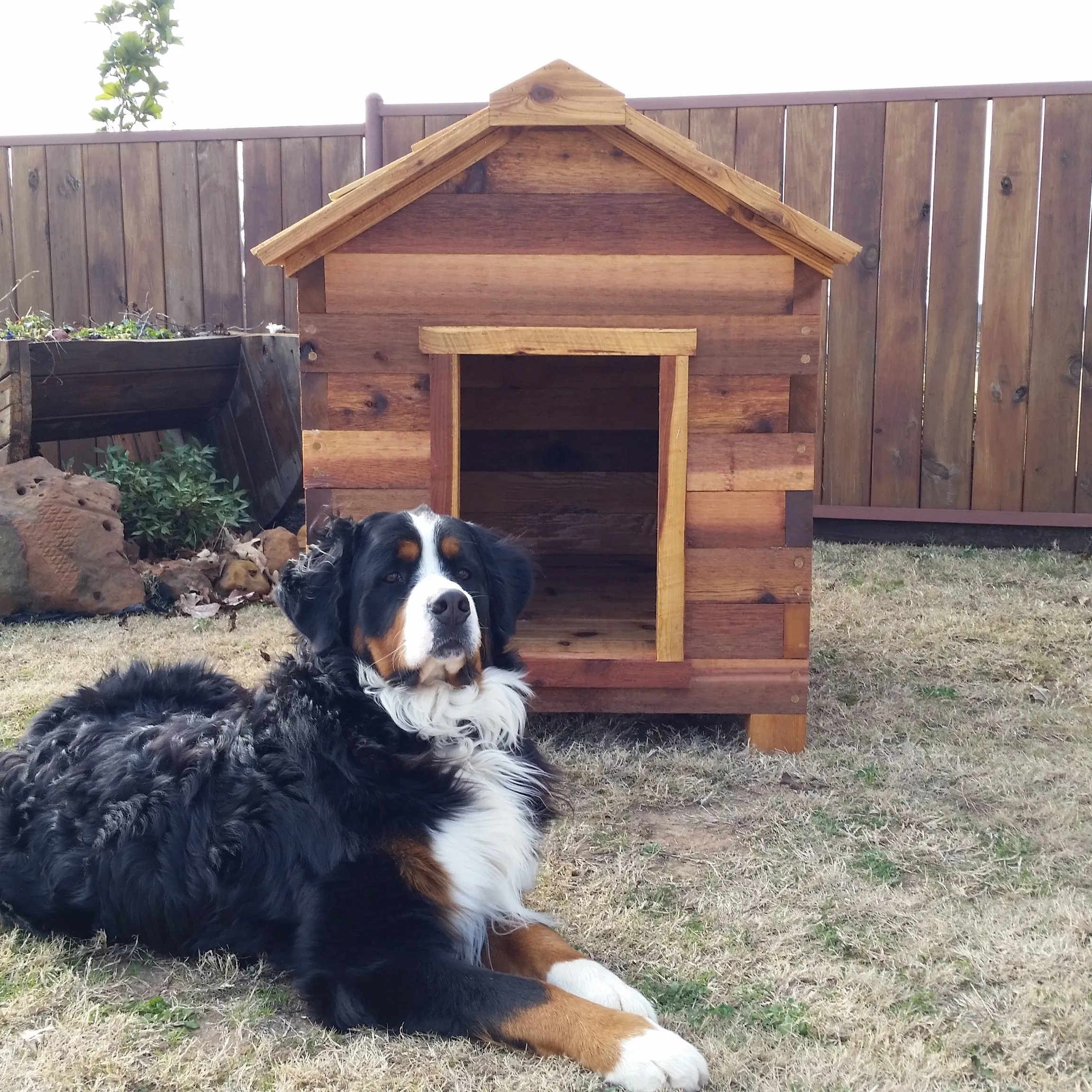 Cedar Dog House