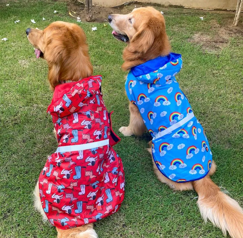 Dog Raincoat - Clouds & Rainbow (Sky Blue Printed)