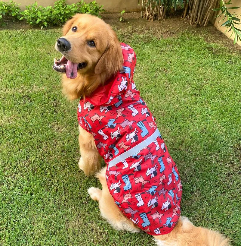 Dog Raincoat - Pupper Party (Red Printed)