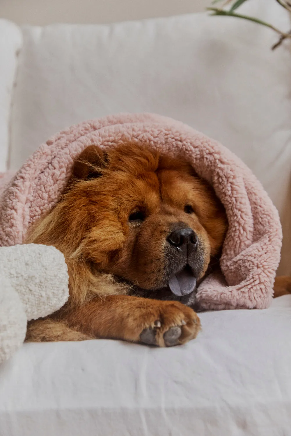 Faux Fur Pet Blanket - Rose