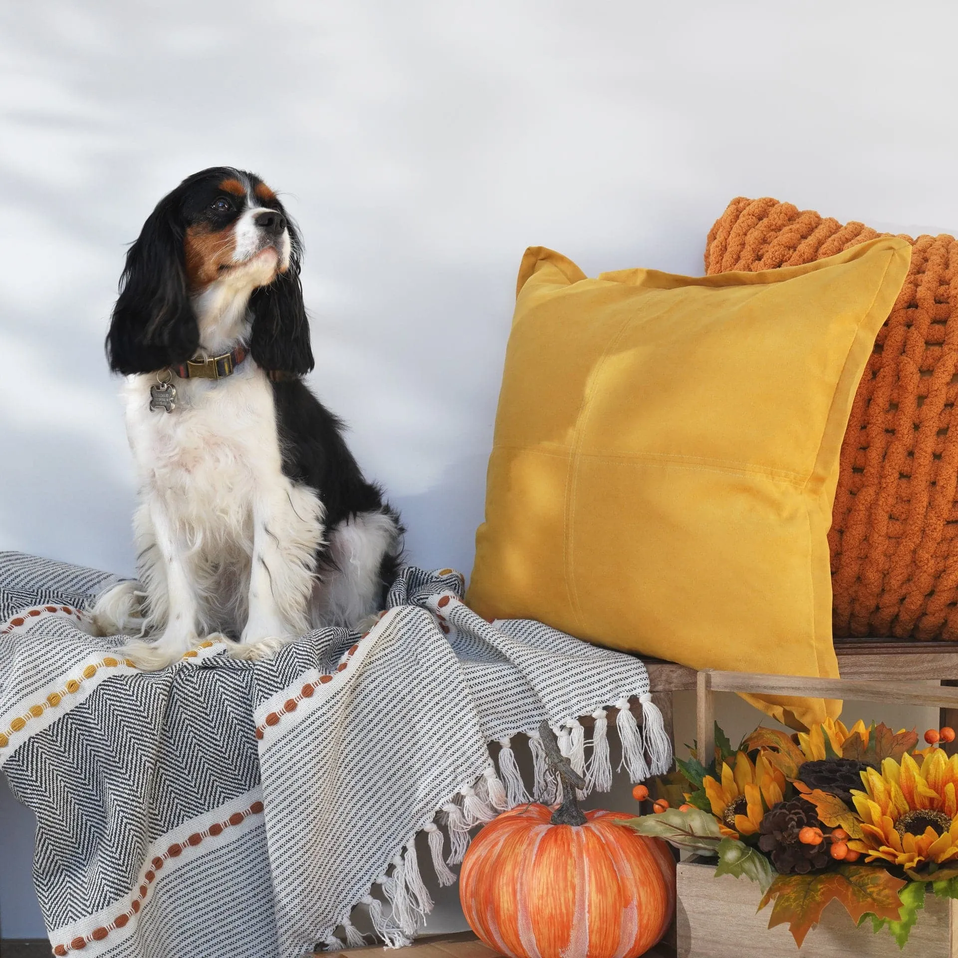 Herringbone Stripe Yarn Dyed Cotton Woven Tassel Throw Blanket