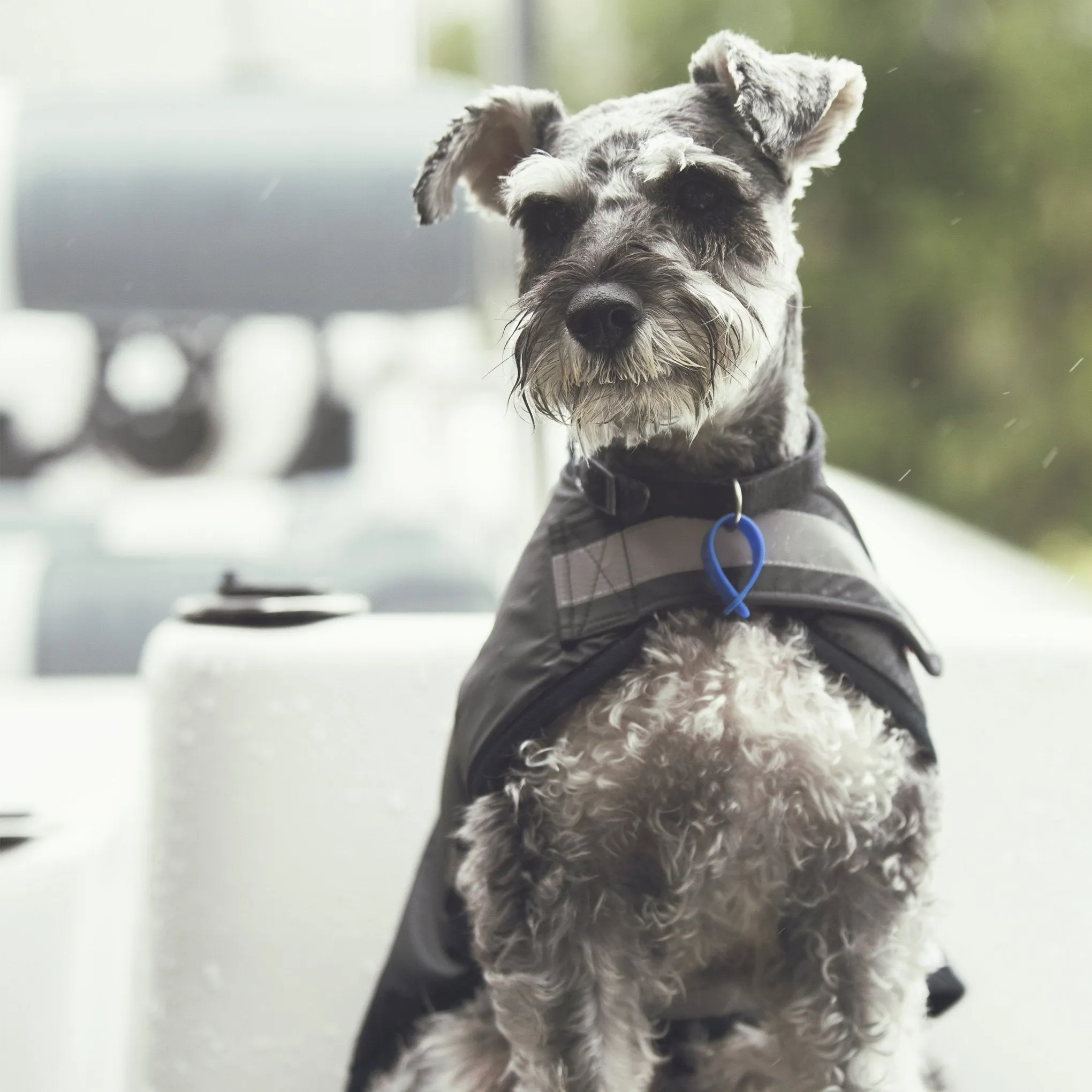 Mr Soft Top Waterproof Coat  |  Black