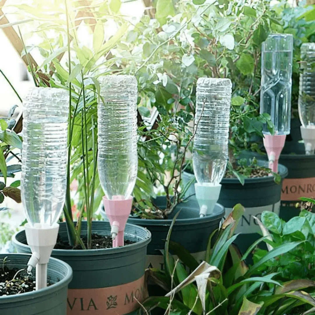 New Design Plant Dripper ( Fits All Pet Bottle)