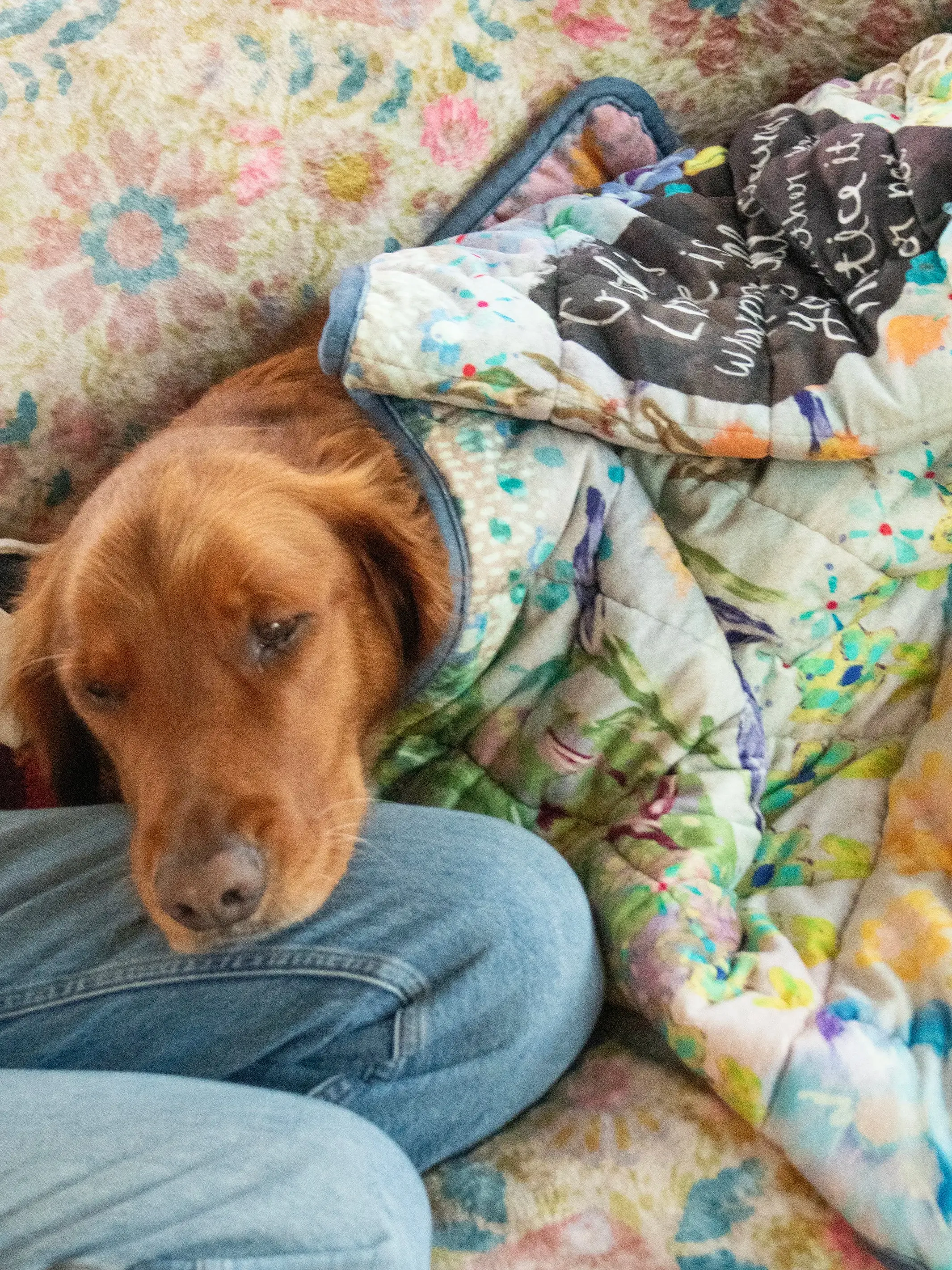 Weighted Pet or Lap Blanket - God's Love